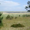Tour 12: Darß - 1